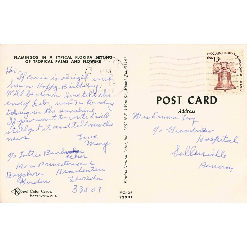 Vtg Greetings From Florida Flamingos Tropical Palms Chrome Postcard FG-26 73901 - Picture 2 of 2